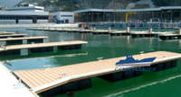Floating Dock Safety With Fender & Fire Fighting accessories 